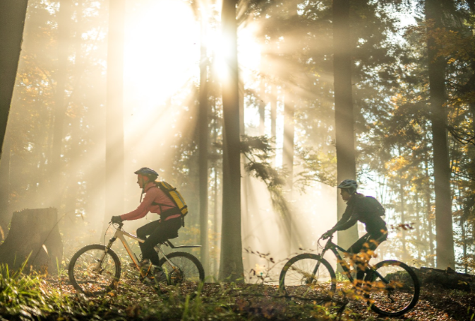 Two people on their bikes in the woods